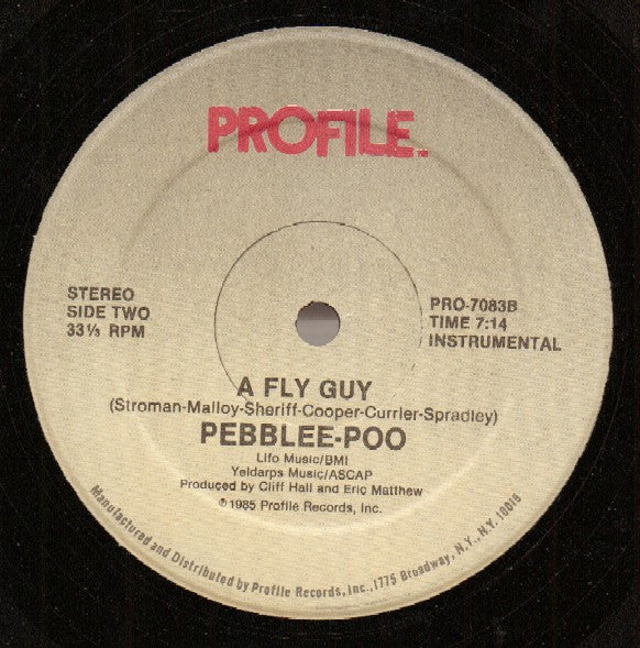 Pebblee Poo : A Fly Guy (12", Single)