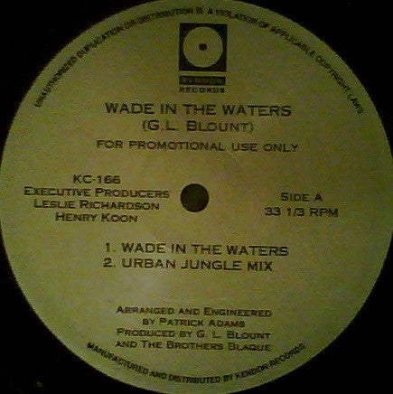 The Family Blaque : Wade In The Waters (12", Promo)