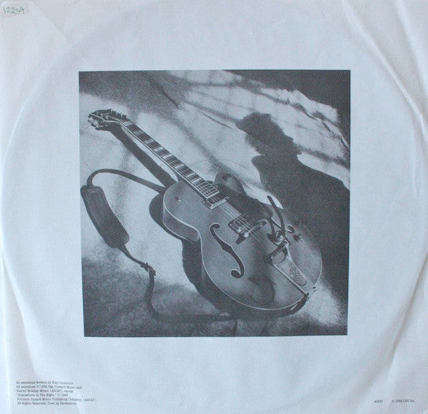 Bill Chinnock : Learning To Survive In The Modern Age (LP, Album)