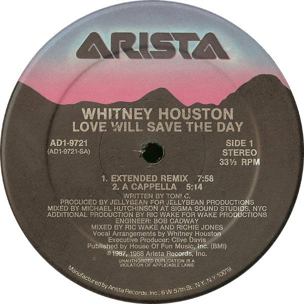 Whitney Houston : Love Will Save The Day (12")