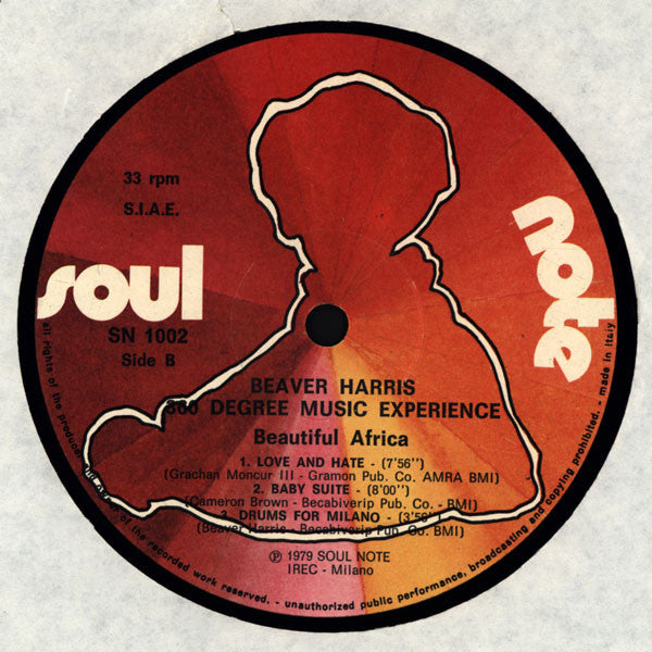 The 360 Degree Music Experience : Beautiful Africa (LP, Album)