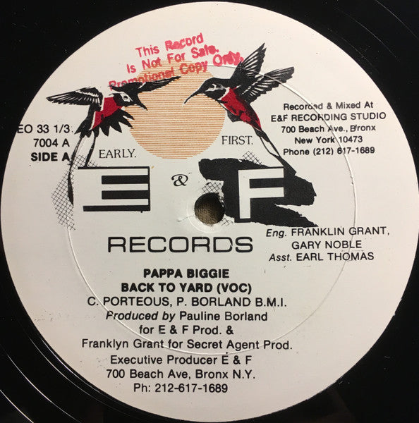 Papa Biggy : Back To Yard (12", Single, Promo)