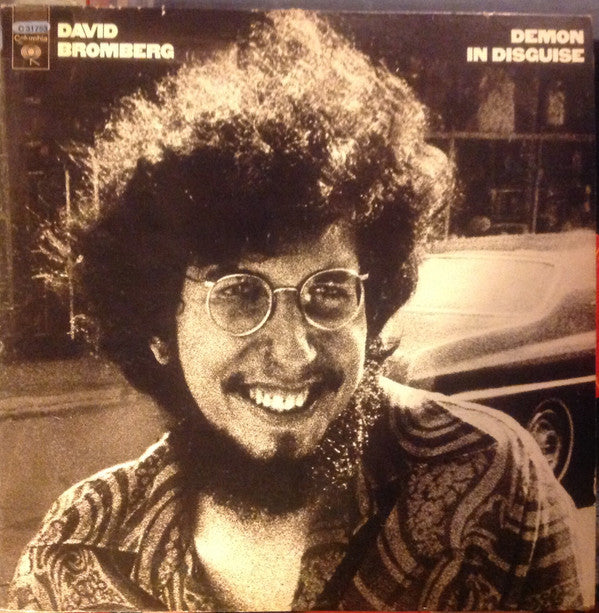 David Bromberg : Demon In Disguise (LP, Album, Pit)