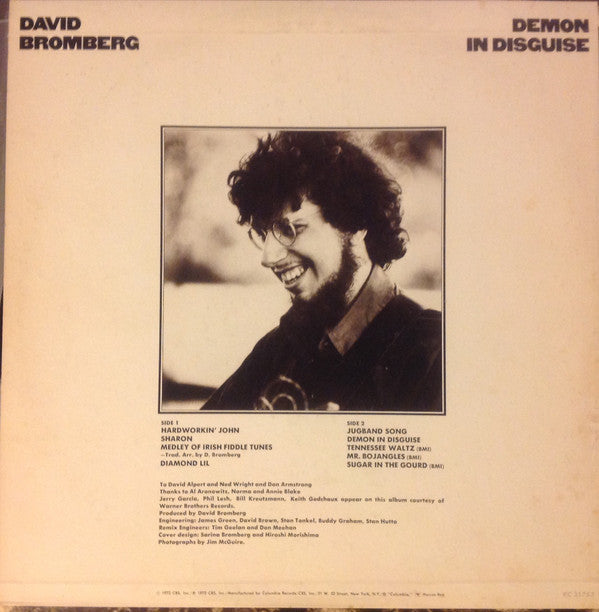 David Bromberg : Demon In Disguise (LP, Album, Pit)