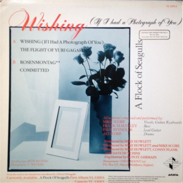 A Flock Of Seagulls : Wishing (If I Had A Photograph Of You) (12", Promo)