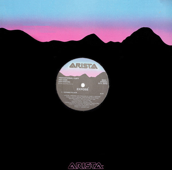 Exposé : Exposed To Love (12")