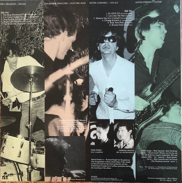 The Fleshtones : Roman Gods (LP, Album)