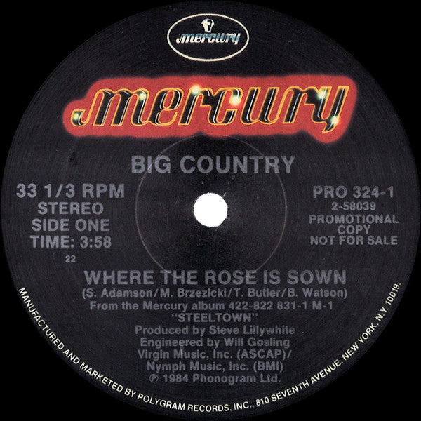 Big Country : Where The Rose Is Sown (Special AOR Remix) (12", Promo)