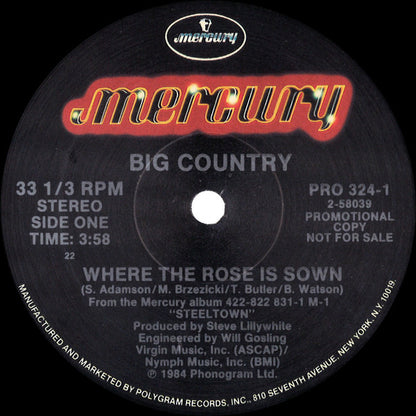Big Country : Where The Rose Is Sown (Special AOR Remix) (12", Promo)