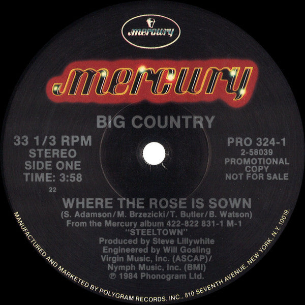 Big Country : Where The Rose Is Sown (Special AOR Remix) (12", Promo)