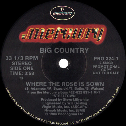 Big Country : Where The Rose Is Sown (Special AOR Remix) (12", Promo)