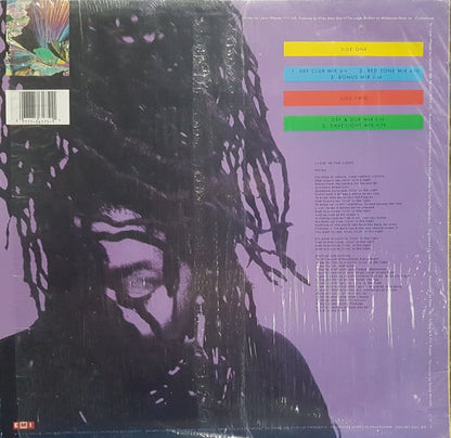 Caron Wheeler : Livin' In The Light (Re-Mix) (12")