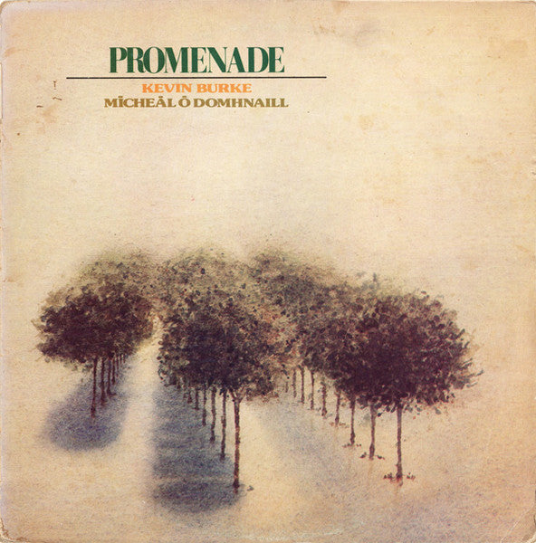 Kevin Burke (2) & Mícheál Ó Domhnaill : Promenade (LP, Album)