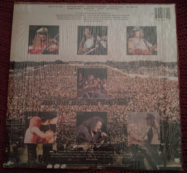 Molly Hatchet : Beatin' The Odds (LP, Album, RE)