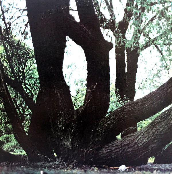 Fat Mattress : Fat Mattress (LP, Album, Gat)