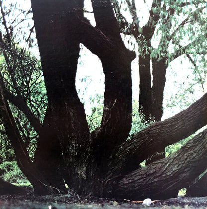 Fat Mattress : Fat Mattress (LP, Album, Gat)