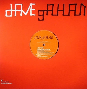 Dave Gahan : I Need You (12", Single)