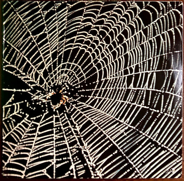 Andy Zwerling : Spiders In The Night (LP, Album)