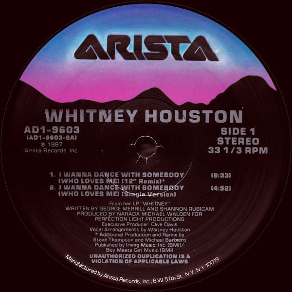 Whitney Houston : I Wanna Dance With Somebody (Who Loves Me) (12", Single)