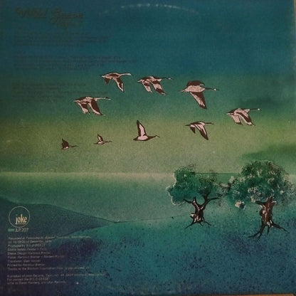 Wild Geese (3) : Flight 2 (LP, Album)
