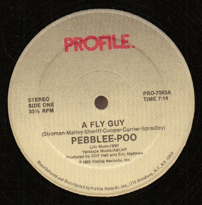 Pebblee Poo : A Fly Guy (12", Single)