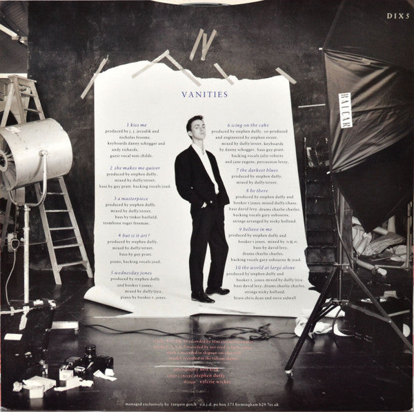 Stephen Duffy : The Ups And Downs (LP, Album)