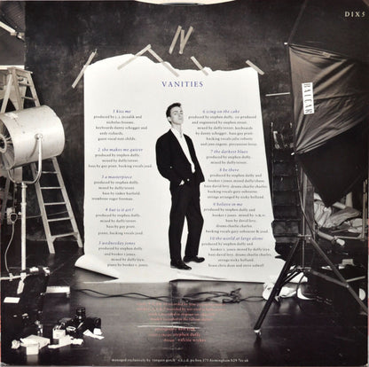 Stephen Duffy : The Ups And Downs (LP, Album)