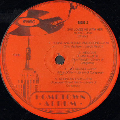 Various : Hometown Album (LP, Album)