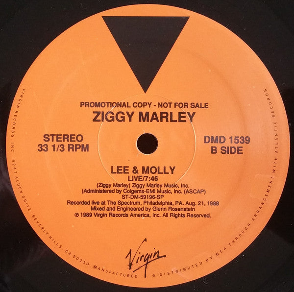 Ziggy Marley : All Love (KRS-One Edit) (12", Promo)