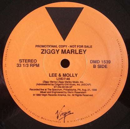 Ziggy Marley : All Love (KRS-One Edit) (12", Promo)