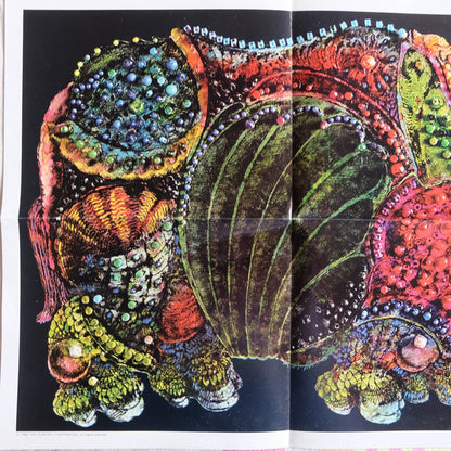 Rhinoceros (2) : Rhinoceros (LP, Album, All)
