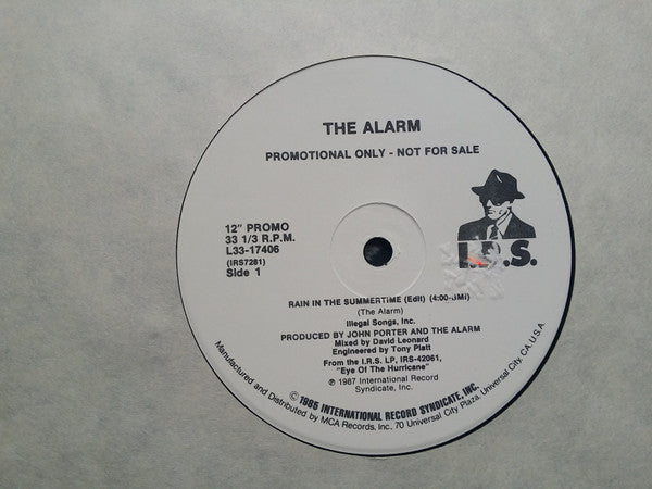 The Alarm : Rain In The Summertime (12", Promo)