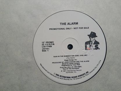 The Alarm : Rain In The Summertime (12", Promo)