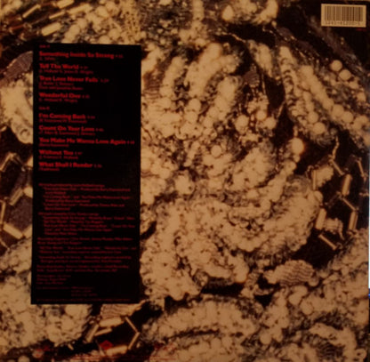 Vanessa Bell Armstrong : Wonderful One (LP, Album)