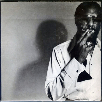 Richie Havens : The End Of The Beginning (LP, Album)