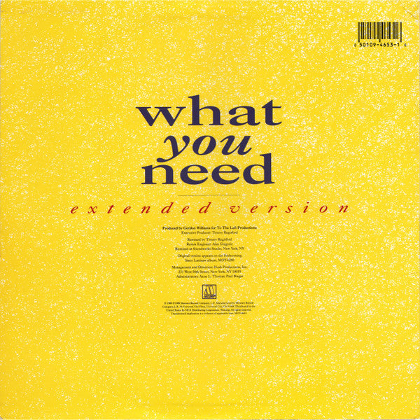 Stacy Lattisaw : What You Need (Extended Version) (12", Single)