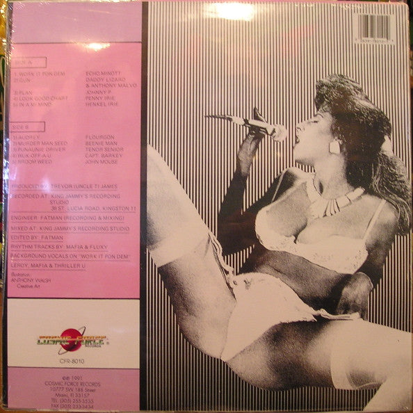 Various : Work It Pon Dem (LP, Comp)