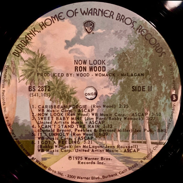 Ron Wood : Now Look (LP, Album, Ter)