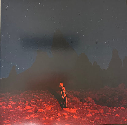 Phoebe Bridgers : Punisher (LP, Album, RE, RP, Dee)