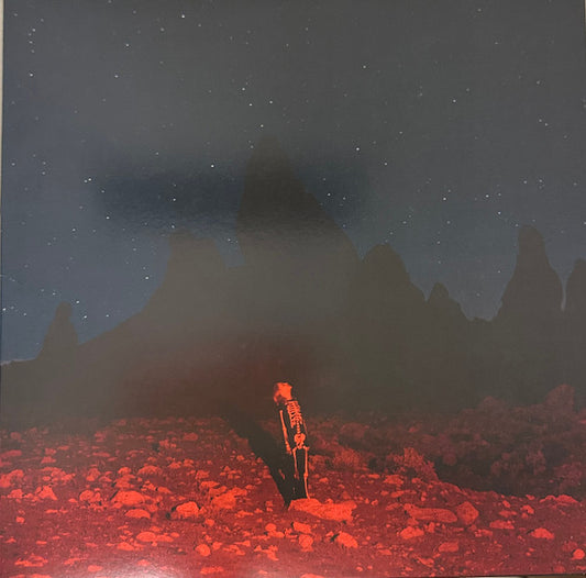 Phoebe Bridgers : Punisher (LP, Album, RE, RP, Dee)