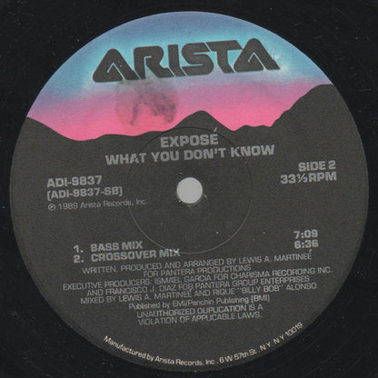 Exposé : What You Don't Know (12")