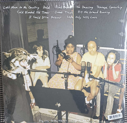 Smog : Knock Knock (LP, Album, Hal)
