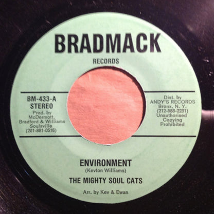 Soul Cats / The Quarter Notes (2) : Environment / I'ghts, Green & Gold Dub (7")
