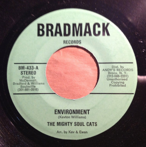 Soul Cats / The Quarter Notes (2) : Environment / I'ghts, Green & Gold Dub (7")