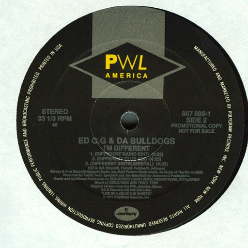 Ed O.G & Da Bulldogs : Be A Father To Your Child (12", Promo)