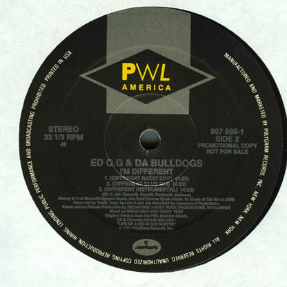 Ed O.G & Da Bulldogs : Be A Father To Your Child (12", Promo)