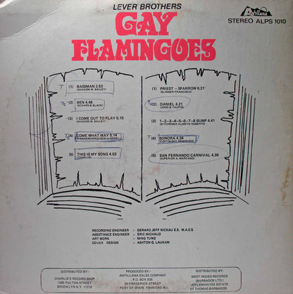 Gay Flamingoes : Let's Hear It For Today (LP)