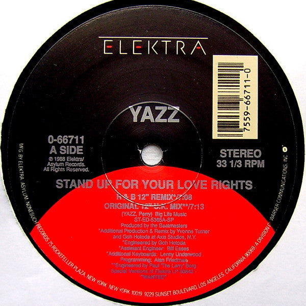 Yazz : Stand Up For Your Love Rights (12", Single)