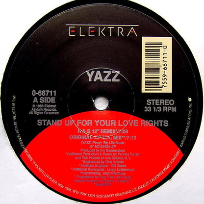 Yazz : Stand Up For Your Love Rights (12", Single)