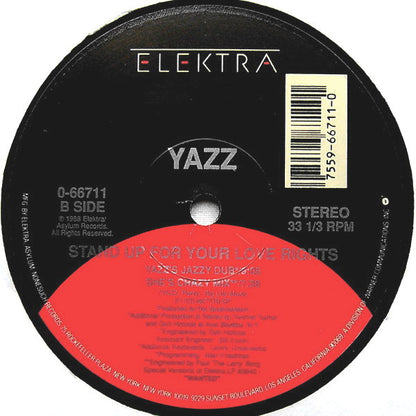 Yazz : Stand Up For Your Love Rights (12", Single)